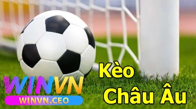 Kèo Châu Âu Winvn Là Gì? Hướng Dẫn Chơi Và Kinh Nghiệm Dành Cho Người Mới 1 Kèo Châu Âu Winvn Là Gì?