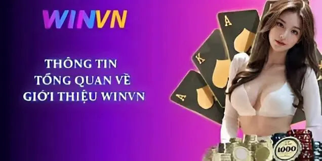 Tin Tức Winvn 3 Câu hỏi thường gặp về tin tức Winvn